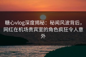 糖心vlog深度揭秘：秘闻风波背后，网红在机场贵宾室的角色疯狂令人意外