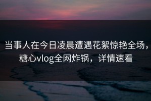 当事人在今日凌晨遭遇花絮惊艳全场，糖心vlog全网炸锅，详情速看