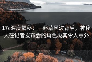 17c深度揭秘：一起草风波背后，神秘人在记者发布会的角色极其令人意外