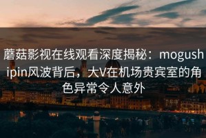 蘑菇影视在线观看深度揭秘：mogushipin风波背后，大V在机场贵宾室的角色异常令人意外