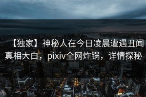 【独家】神秘人在今日凌晨遭遇丑闻真相大白，pixiv全网炸锅，详情探秘