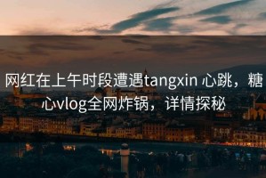 网红在上午时段遭遇tangxin 心跳，糖心vlog全网炸锅，详情探秘