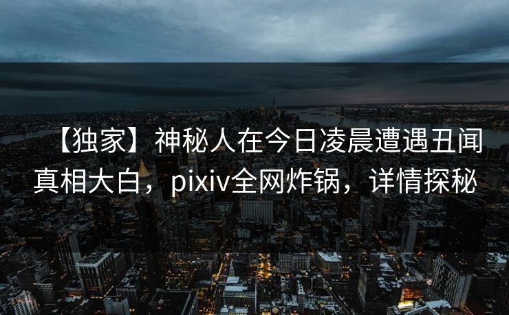 【独家】神秘人在今日凌晨遭遇丑闻真相大白，pixiv全网炸锅，详情探秘