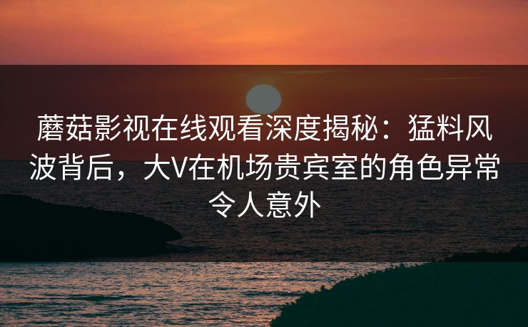 蘑菇影视在线观看深度揭秘:猛料风波背后,大V在机场贵宾室的角色异常令人意外 蘑菇影视在线观看深度揭秘:猛料风波背后,大V在机场贵宾室的角色异常令人意外